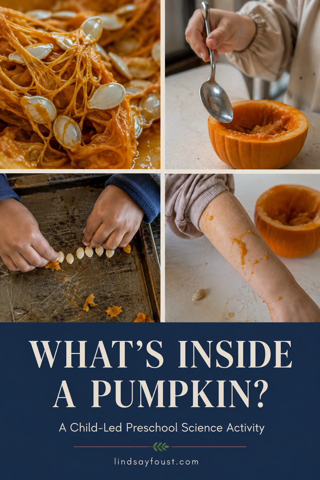 Pinterest graphic showing four close-up views of a child-led preschool pumpkin investigation.